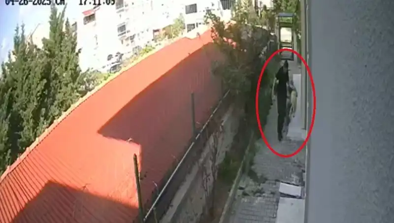 Veteriner Doktor, Sahiplendiği Köpekleri Öldürmekten Tutuklandı!