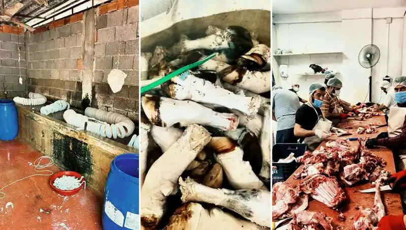 Adana'da Skandal: Yüzlerce Kilo Paça Ele Geçirildi