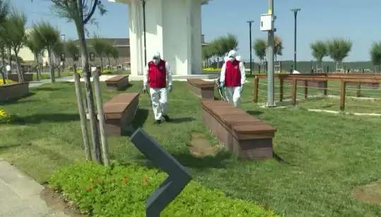 Kene Görülme Sıklığı Artıyor: İlaçlama Önlemleri Hayata Geçti