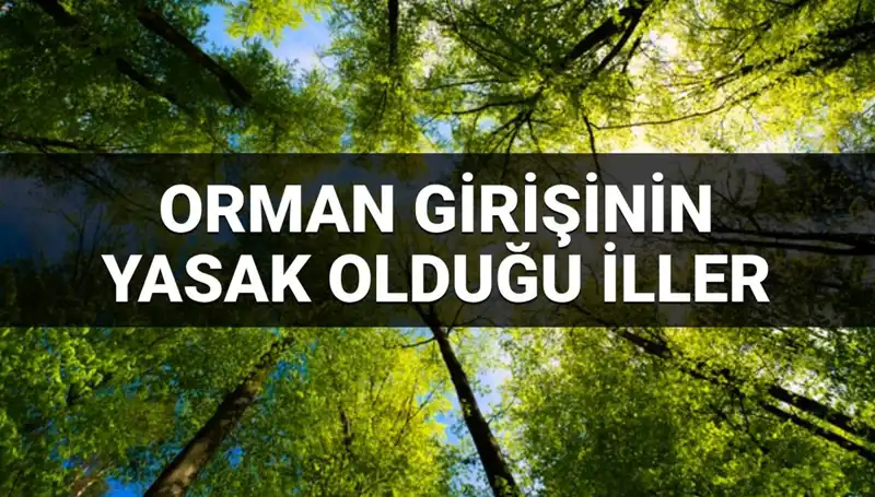 Hangi İllerde Ormana Girmek Yasak? 2025 Yasağıyla İlgili Her Şey