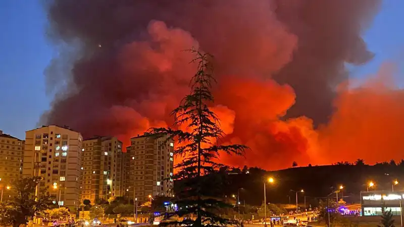 Bursa'da Yangınlar Şehri Sarmaladı: Kriz Alanları ve Mücadele Süreci