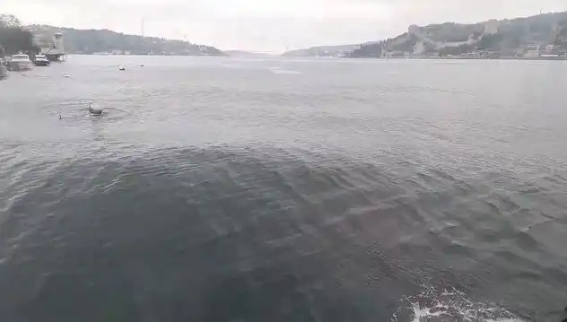 İstanbul Boğazı'nda Yükselen Dalgalar: Doğa Olayı Neleri Beraberinde Getiriyor?