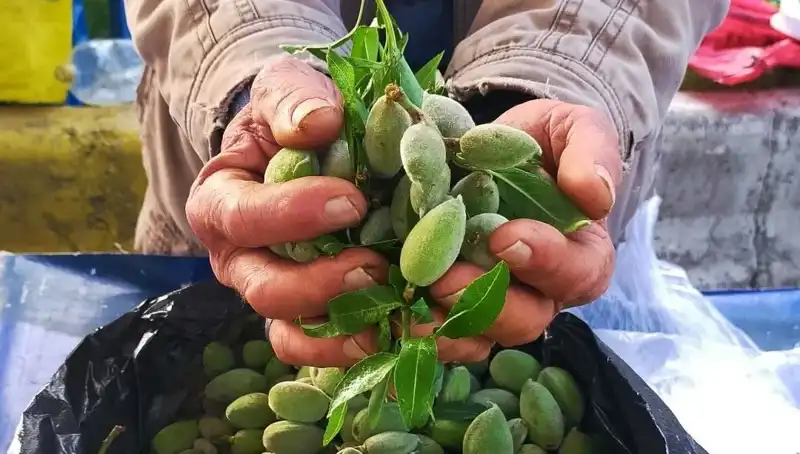 Bahar Geliyor: Bu Yıl Kilosu 250 TL Olan İlk Sebze Tezgahlarda