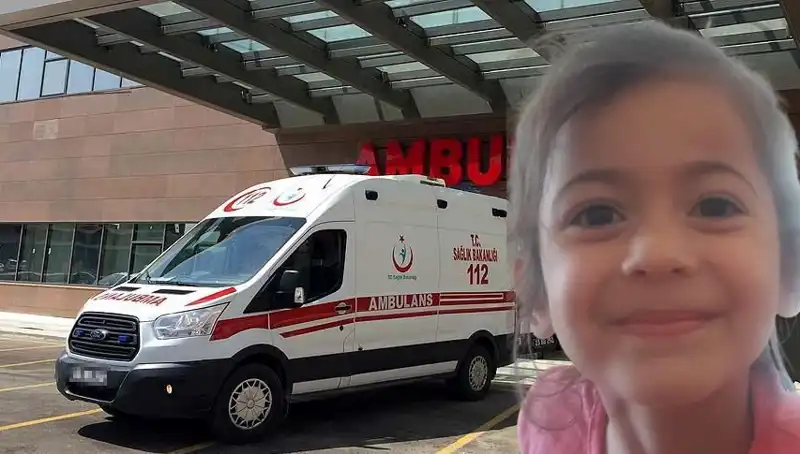 8 Yaşındaki Roza'nın Kayıp Hikayesi: 10 Ay Sonra Şok Eden Gelişme