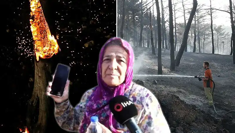 Çanakkale Orman Yangınları Kontrol Altına Alındı: Kayıplar ve Zaferler