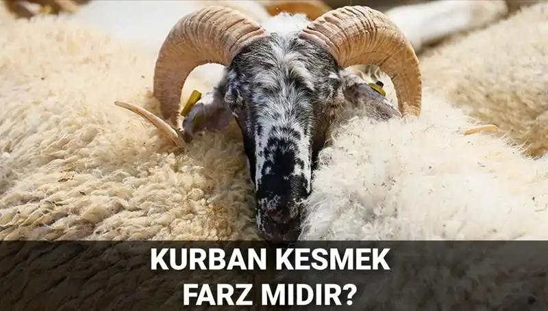 Kurban Kesimi Farz mı? Diyanet'in Görüşü ve Şartları Neler?