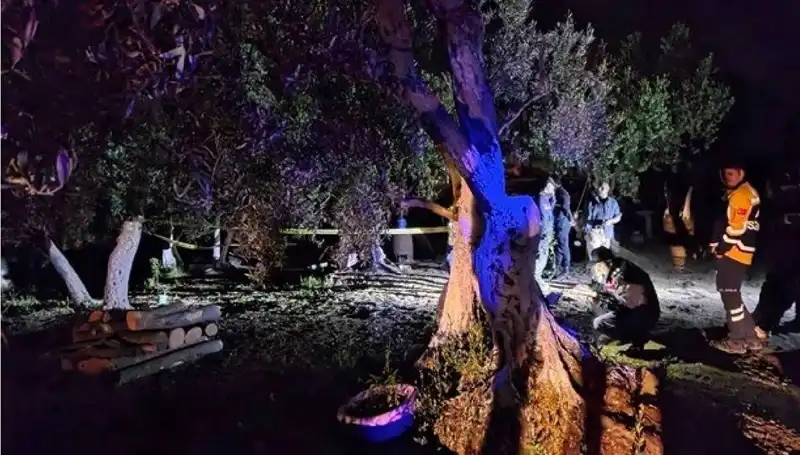 Çiftlikte Baltalı Vahşete Son! Bir Tutuklama Gerçekleşti