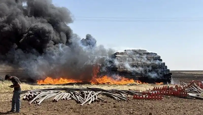 Mardin'de Anız Yangınları Artıyor: Çiftçiler ve Doğa Tehlikede