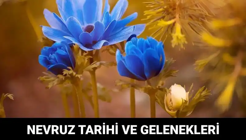 Nevruz Bayramı: Ne Zaman ve Nasıl Kutlanıyor? Gelenekleriyle Dolu Bir Şenlik