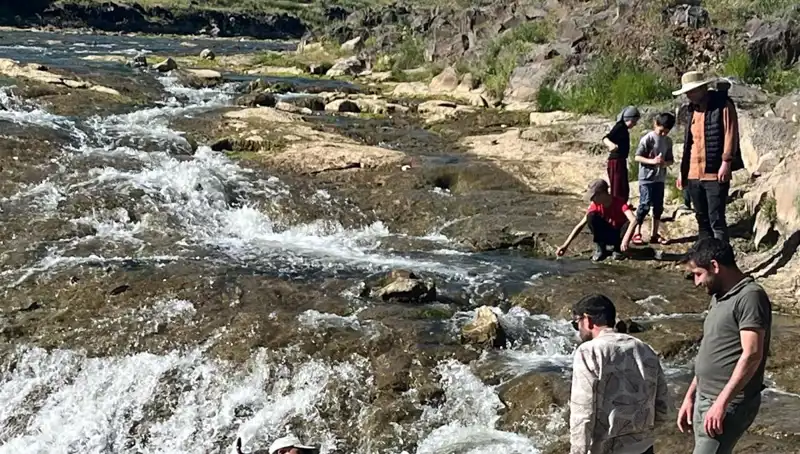 İnci Kefalinin Göçü: Doğanın Mucizesine Tanıklık Etmek İçin Gelen Turistler
