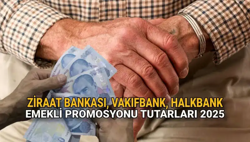 2025'te Emekli Banka Promosyonları: Kamu Bankaları Ne Sunuyor?