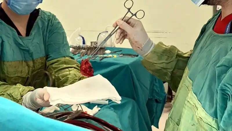 Kalp Kapağı Çürüyen Hastaya 7 Saatlik Ameliyat: Doktorlar "Mucize" Dedi