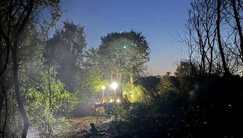 Edirne'deki Orman Yangını Kontrol Altına Alındı: Detaylar İçin Tıklayın!