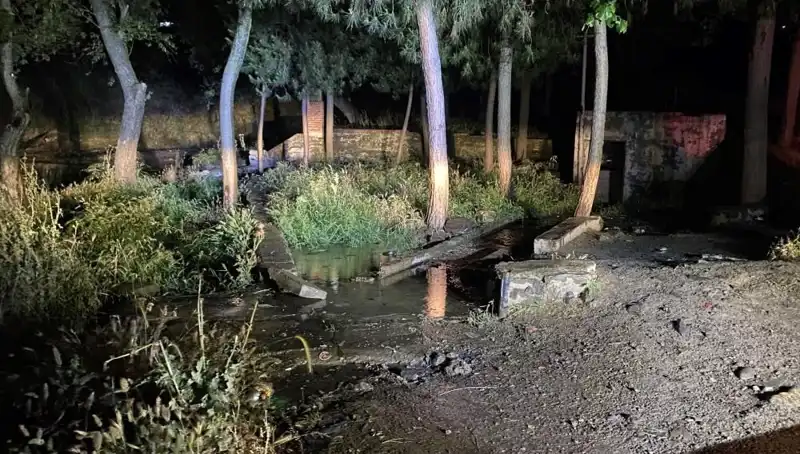 Manisa'da Parkta Bulunan Şüpheli Ölümün Gizemi Derinleşiyor