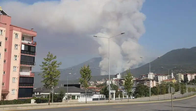 Denizli’de Orman Yangını: Yangının Şüphelisi Gözaltına Alındı